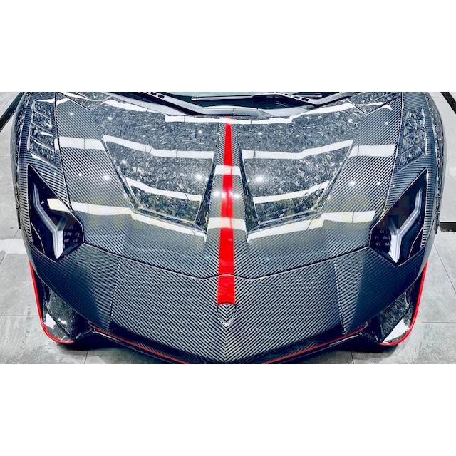 Lamborghini ランボルギーニ アヴェンタドール LP700用 カーボン
