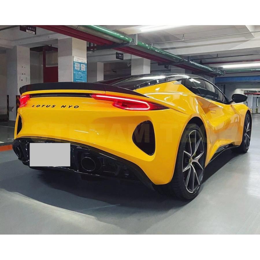 LOTUS ロータス エミーラ用 オーシャンデザイン ドライカーボン