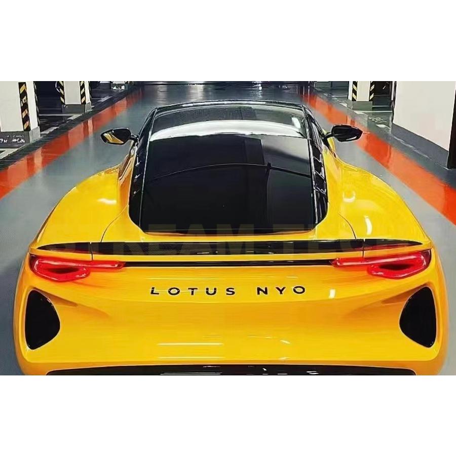 LOTUS ロータス エミーラ用 オーシャンデザイン ドライカーボン