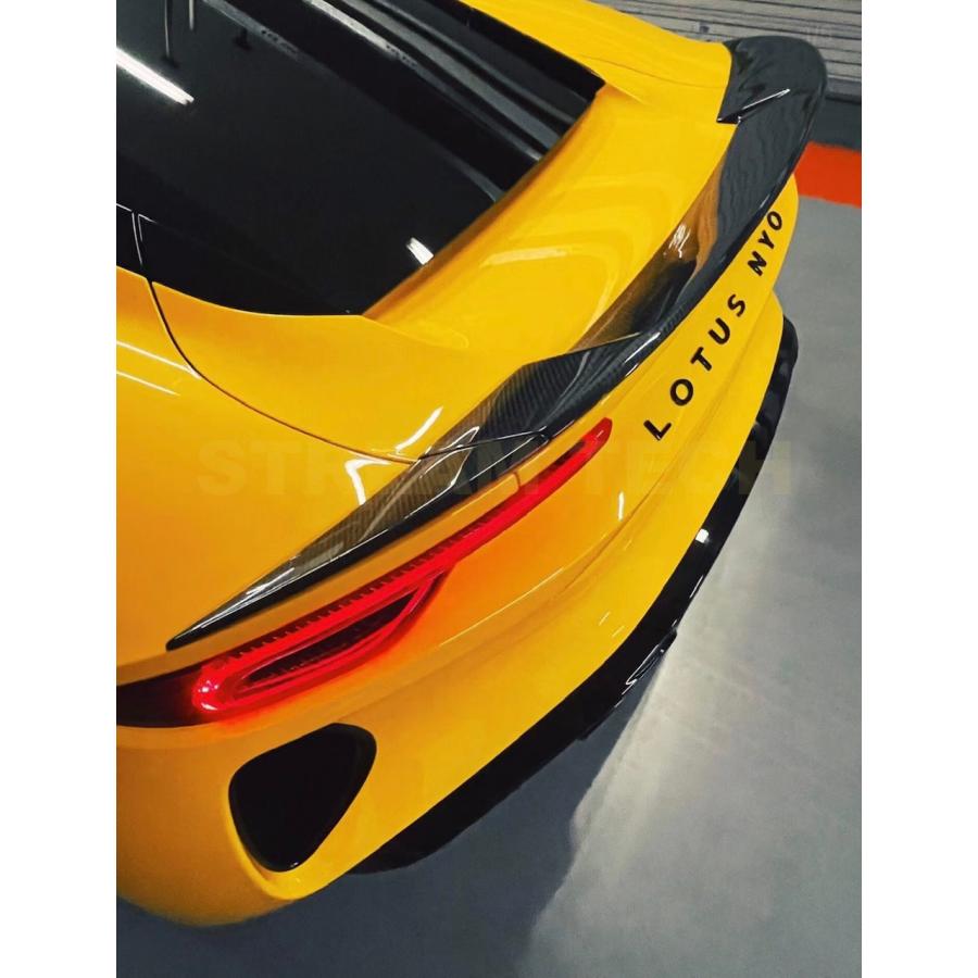 LOTUS ロータス エミーラ用 オーシャンデザイン ドライカーボン