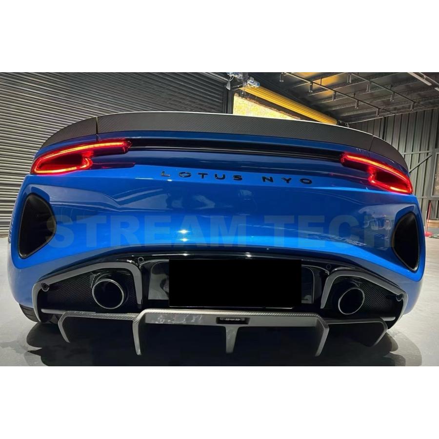 LOTUS ロータス エミーラ用 オーシャンデザイン ドライカーボン