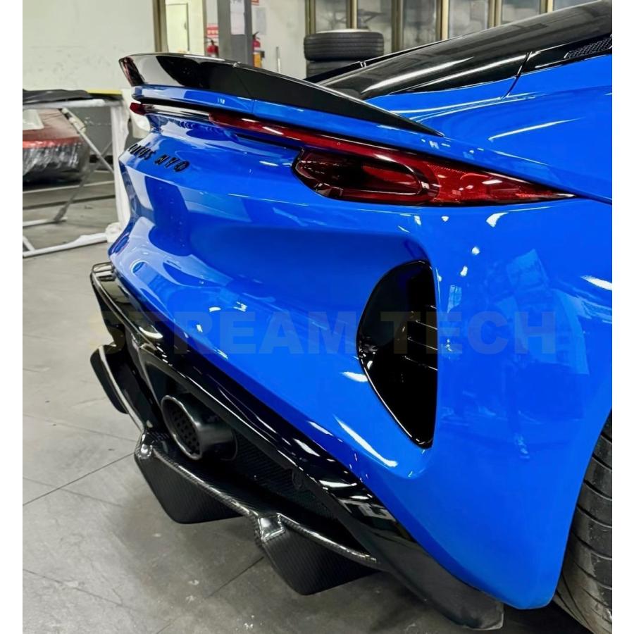 LOTUS ロータス エミーラ用 オーシャンデザイン ドライカーボン