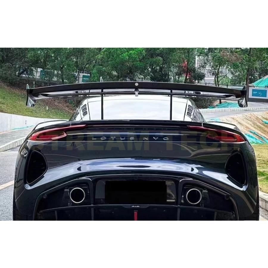 LOTUS ロータス エミーラ用 レーシングタイプ ドライカーボン リア 