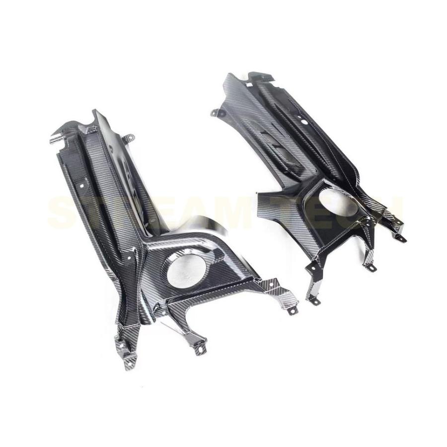 MASERATI マセラティ MC20 V6 Nettuno エンジン用 ドライカーボン