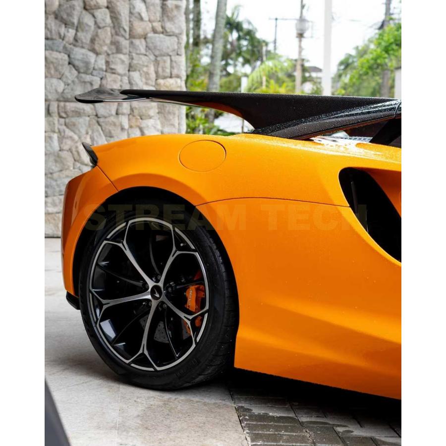 McLaren マクラーレン アルトゥーラ用 NOVITecタイプ ドライカーボン