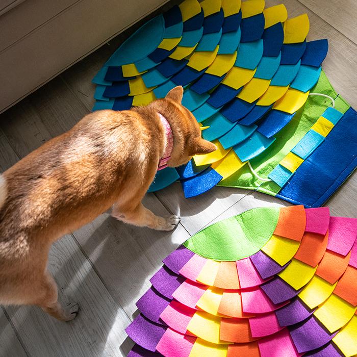 Petique ペティーク ノーズワークマット 気球型 スナッフリング 犬 イヌ いぬ 成犬 小型 中型 大型 猫 ネコ ねこ 知育玩具 ゲーム 訓練 運動 ストレス解消 |  | 04