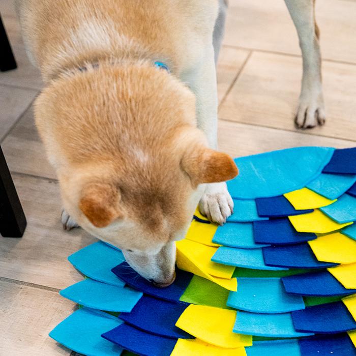 Petique ペティーク ノーズワークマット 気球型 スナッフリング 犬 イヌ いぬ 成犬 小型 中型 大型 猫 ネコ ねこ 知育玩具 ゲーム 訓練 運動 ストレス解消 |  | 05