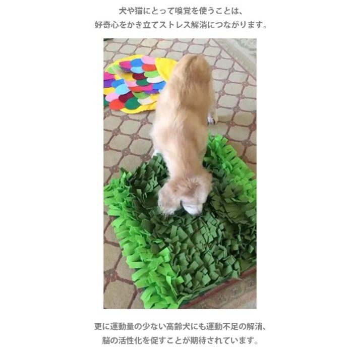 Petique ペティーク ノーズワークマット 魚型 スナッフリング 犬 イヌ いぬ 成犬 小型 中型 大型 猫 ネコ ねこ 知育玩具 ゲーム 訓練 運動 ストレス解消 |  | 05