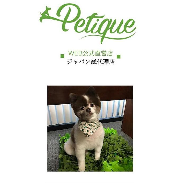 Petique ペティーク ノーズワークマット 芝生 スナッフルマット 犬 猫 知育玩具 知育トイ おもちゃ ゲーム 訓練 運動 ストレス解消 Snuffle Mat |  | 01