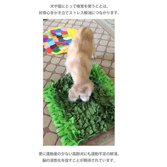 Petique ペティーク ノーズワークマット 芝生 スナッフルマット 犬 猫 知育玩具 知育トイ おもちゃ ゲーム 訓練 運動 ストレス解消 Snuffle Mat |  | 04