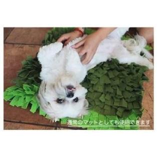 Petique ペティーク ノーズワークマット 芝生 スナッフルマット 犬 猫 知育玩具 知育トイ おもちゃ ゲーム 訓練 運動 ストレス解消 Snuffle Mat |  | 05