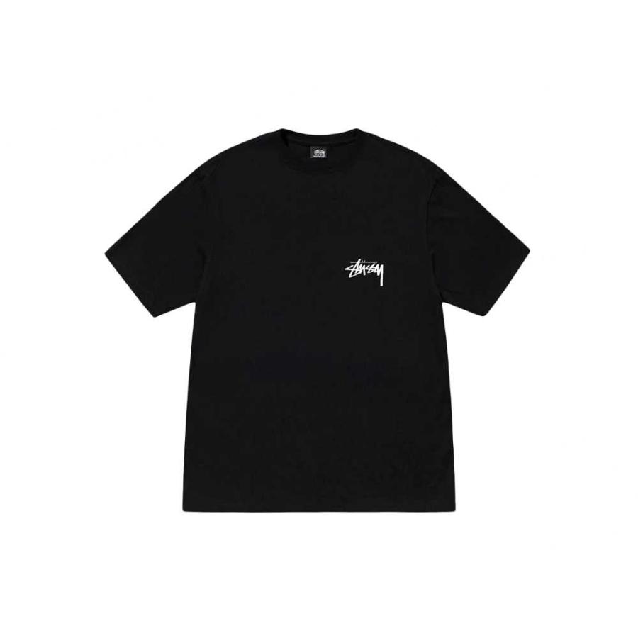 STUSSY Stussy Cherries Tee ステューシー チェリーズ Tシャツ