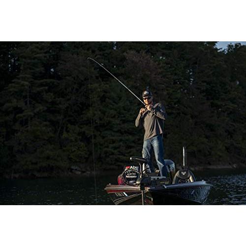 Abu Garciaアブ・ガルシア リール Ambassadeur SX アンバサダー SX ベイトリール AMBSX-6601 660 並行輸入 SX AMBSX