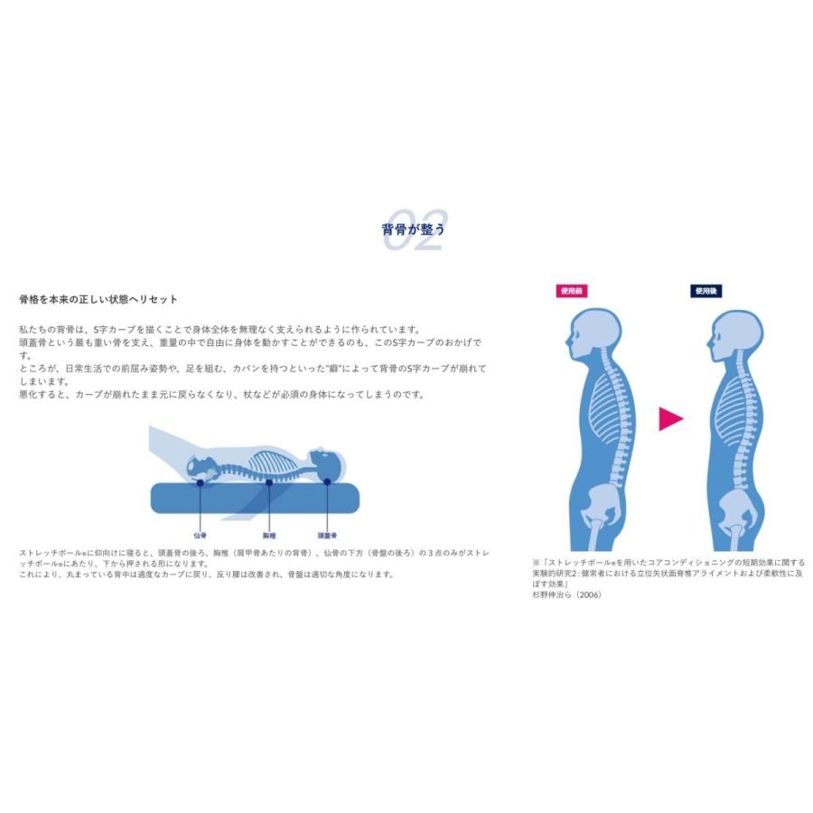 ストレッチポールEX(ネイビー)株式会社LPN｜stretchpole｜05