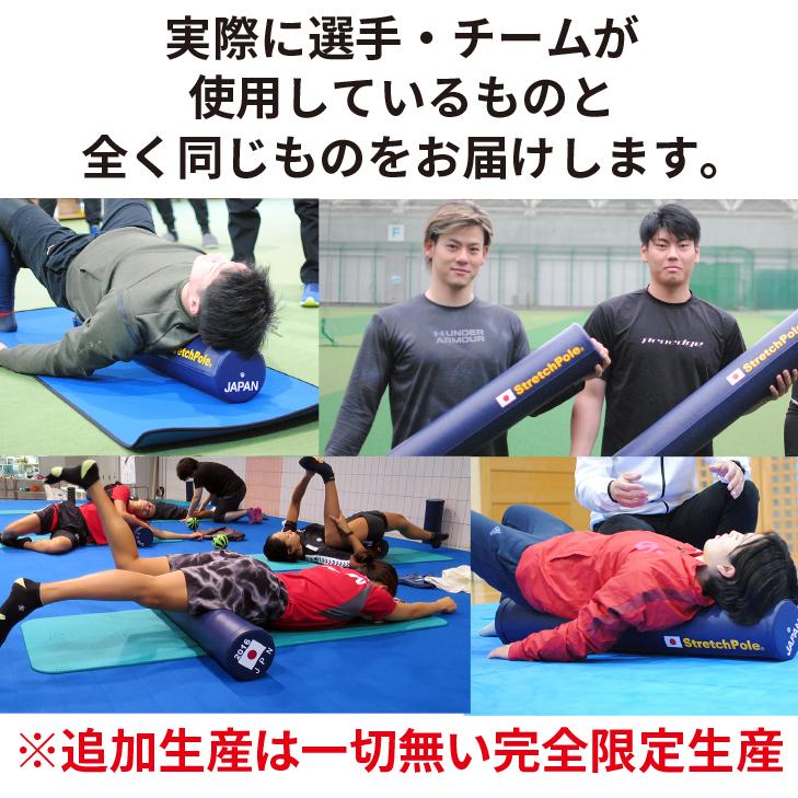 ストレッチポール 【限定】2024 ストレッチポールEX JAPANモデル ストレッチポール 【限定】2024 ストレッチポールEX JAPANモデル