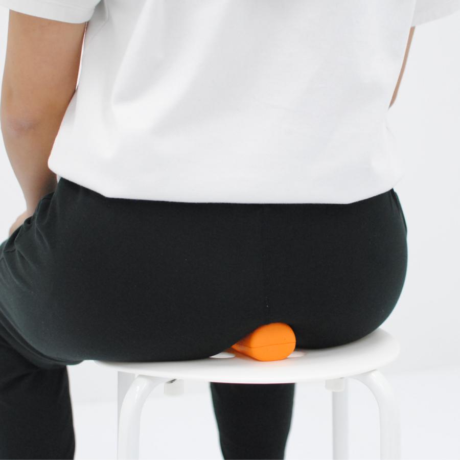 【4511】女子の骨盤力を上げるストレッチポール「ひめトレ」ストレッチ ストレッチポール「ひめトレ」株式会社LPN : ストレッチポールLPN