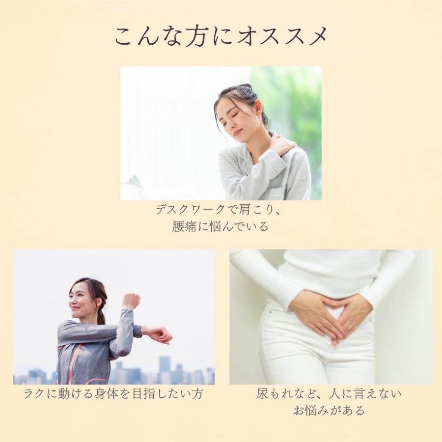 ストレッチポール「ひめトレ」株式会社LPN : ストレッチポールLPN