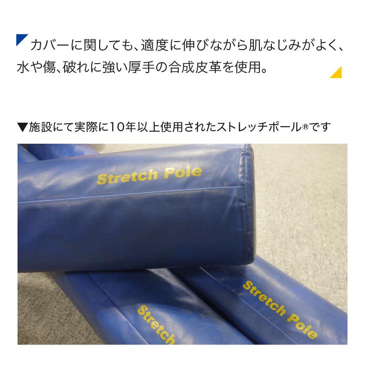 ストレッチポールMX(ネイビー)株式会社LPN : ストレッチポールLPN
