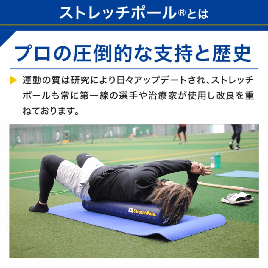 ストレッチポールMX(ネイビー)株式会社LPN : ストレッチポールLPN