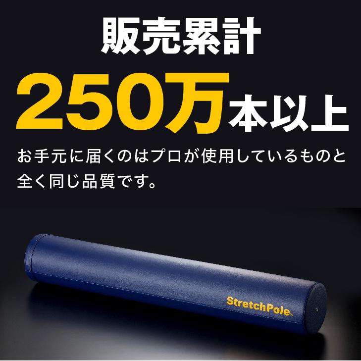 ストレッチポールMX(ネイビー)株式会社LPN : ストレッチポールLPN