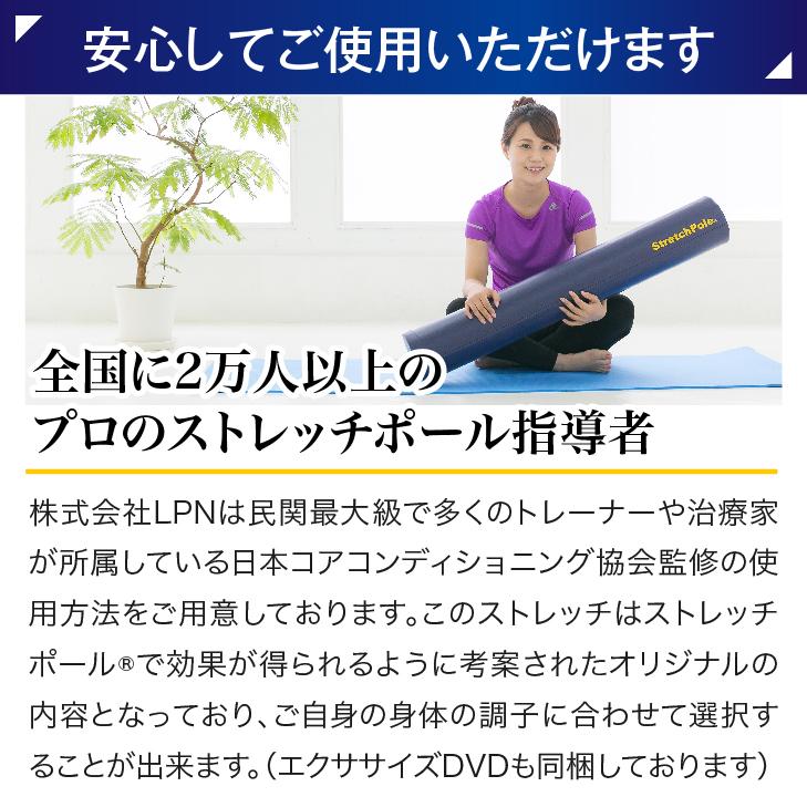 ストレッチポールMX(アイボリー)株式会社LPN : ストレッチポールLPN