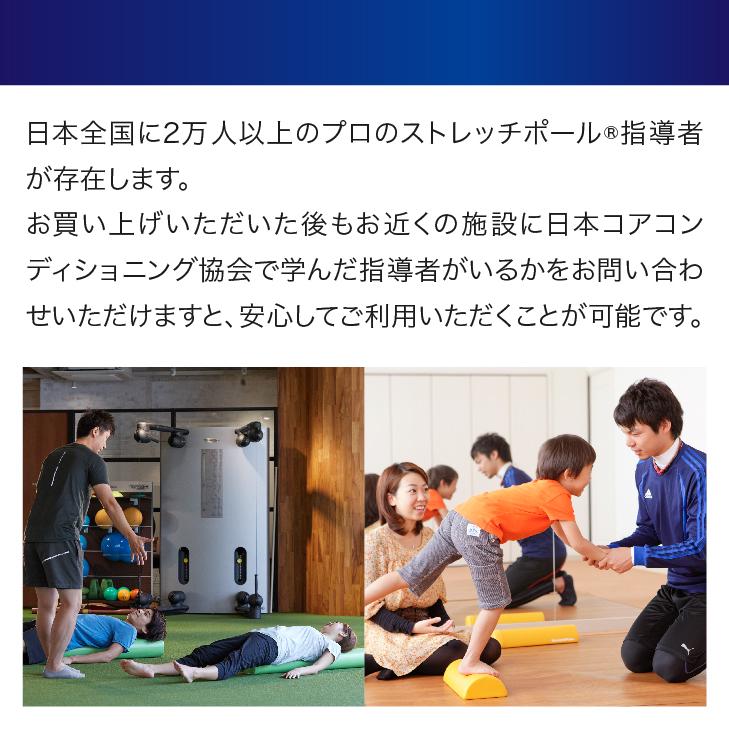 ストレッチポールMX(アイボリー)株式会社LPN : ストレッチポールLPN