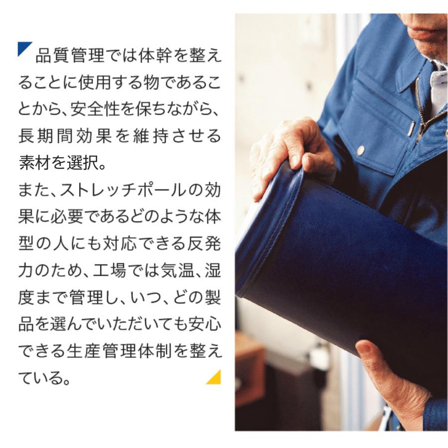 ストレッチポールMX(アイボリー)株式会社LPN : ストレッチポールLPN