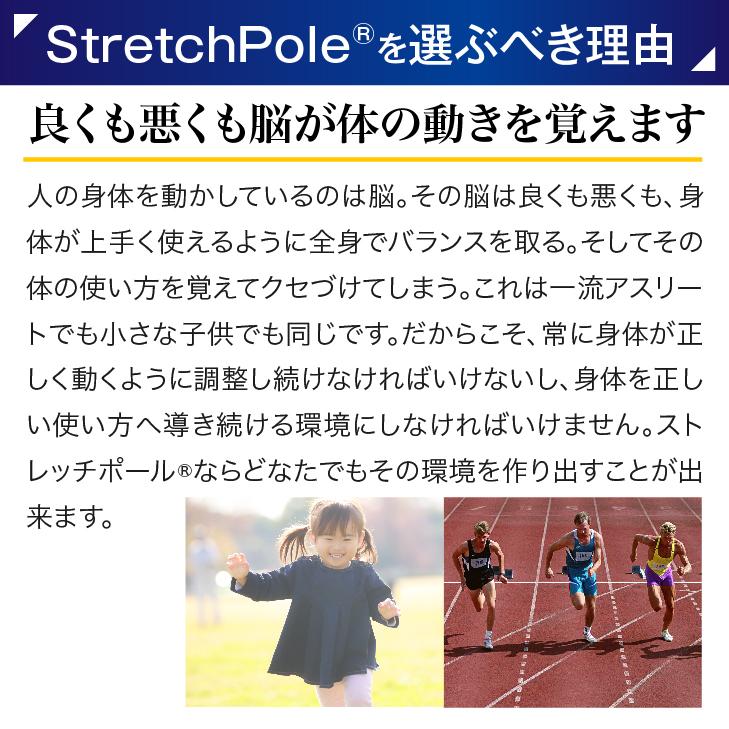 ストレッチポールMX(イエロー)株式会社LPN : ストレッチポールLPN