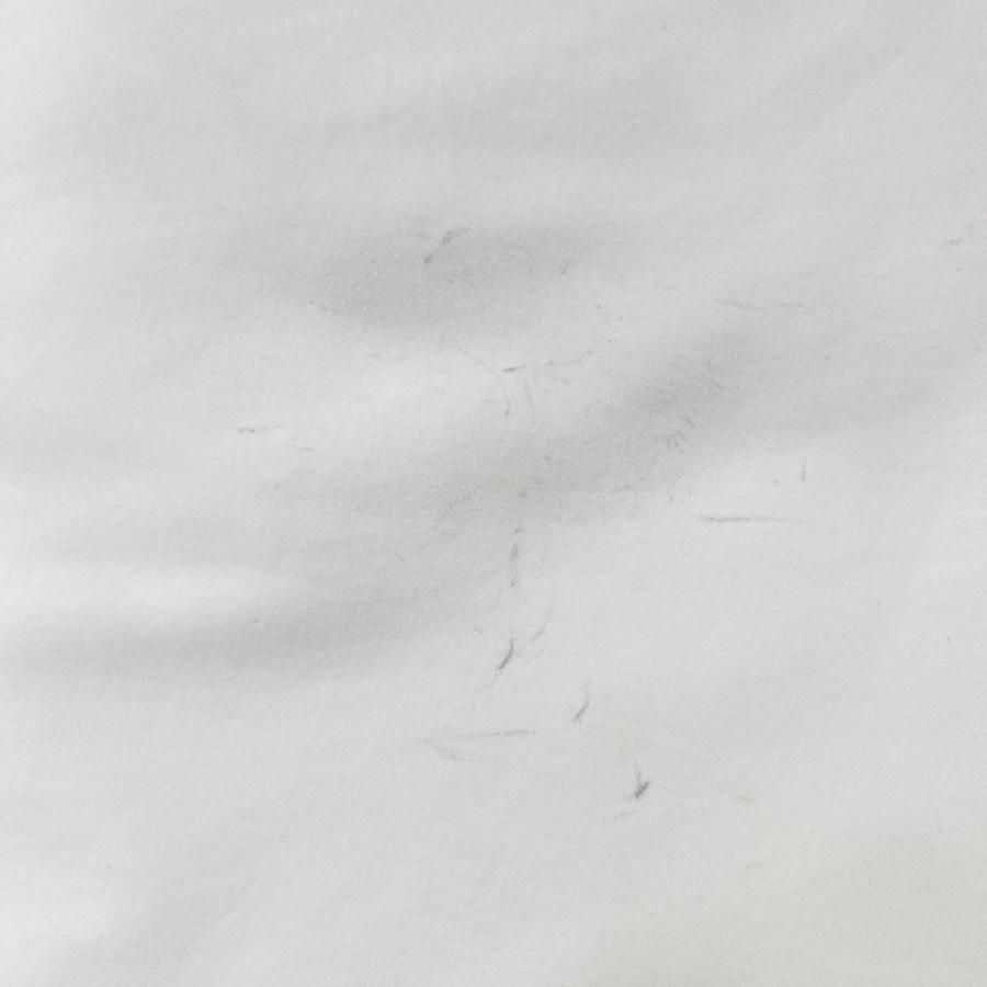 【上質】 日本製 ランバンスポール ゴルフスカート 36 ホワイト ♪ スカート レディース ランバン スポール LANVIN SPORT 日本正規