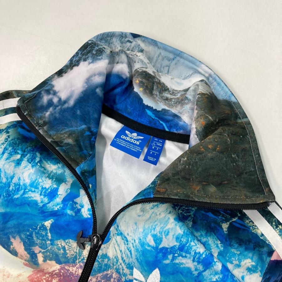 adidas アディダス originals Mountain Crash Firebird トラック