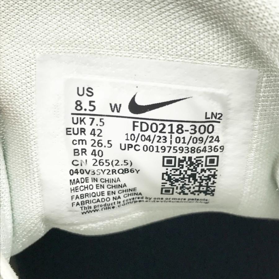 NIKE GOLF ナイキゴルフ FD0218-300 Air Zoom Infinity Tour 2