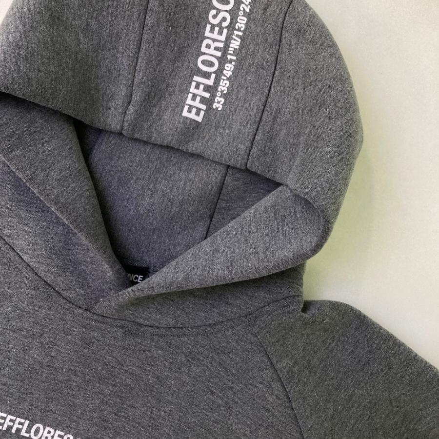 EFFLORESCENCE エフロレッセンス パーカー グレー系 S ゴルフウェア