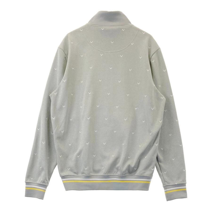 iPhone case 13pro サンバースト 茶鼈甲 Amazon.co.jp: iPhone