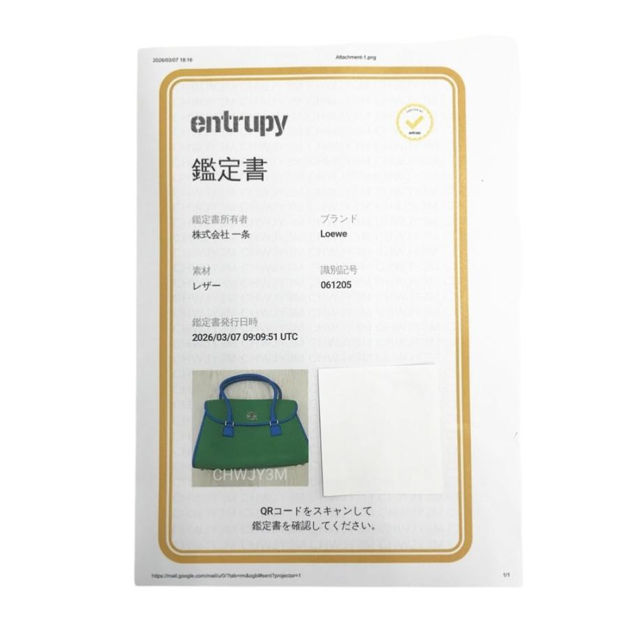 LOEWE ロエベ バッグ アラモ36 グリーン系_7