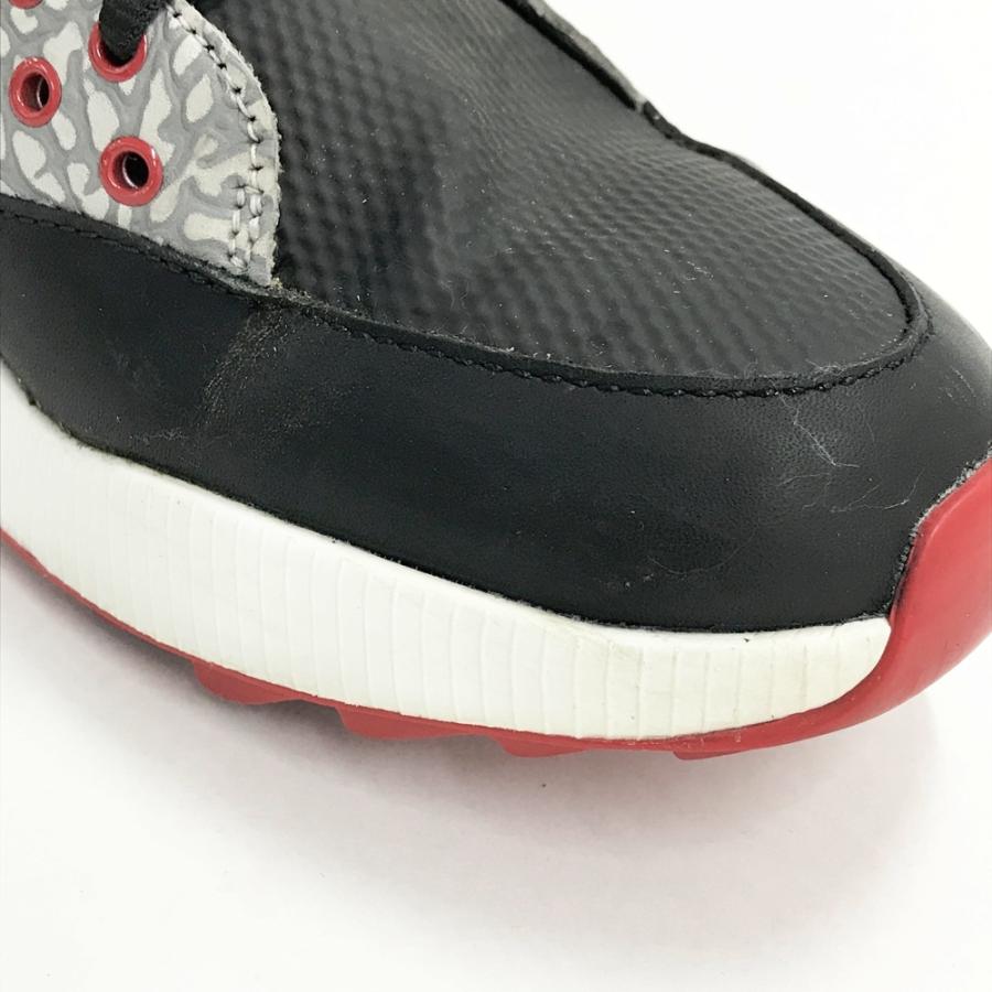 NIKE（ナイキ） NIKE GOLF ナイキゴルフ CT7812 Air Jordan ADG 2