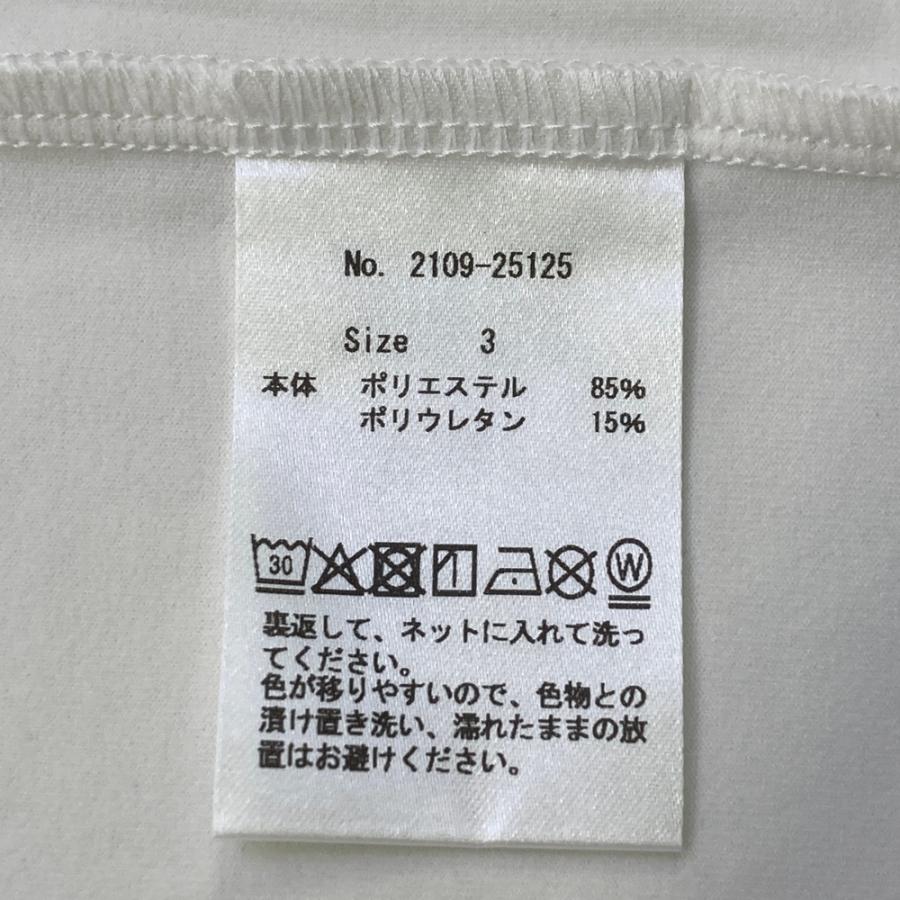 CPG GOLF 【新品】CPG GOLF シーピージーゴルフ 2109-25125 長袖モック