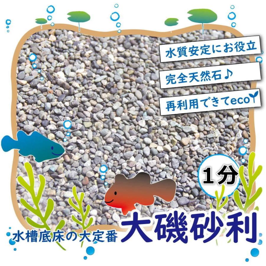 アクアリウム 砂利 1分 大磯砂利 30cm水槽で3センチ 45cm水槽で2センチにぴったり敷ける Aq Ooiso1 石材のことならstクラフト 通販 Yahoo ショッピング