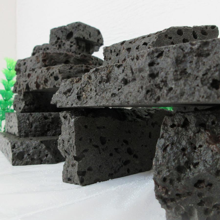 水槽用天然石 2kg 溶岩石プレート アクアリウム 石 レイアウト