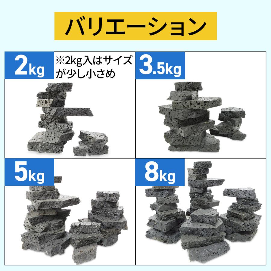水槽用天然石 2kg 溶岩石プレート アクアリウム 石 レイアウト