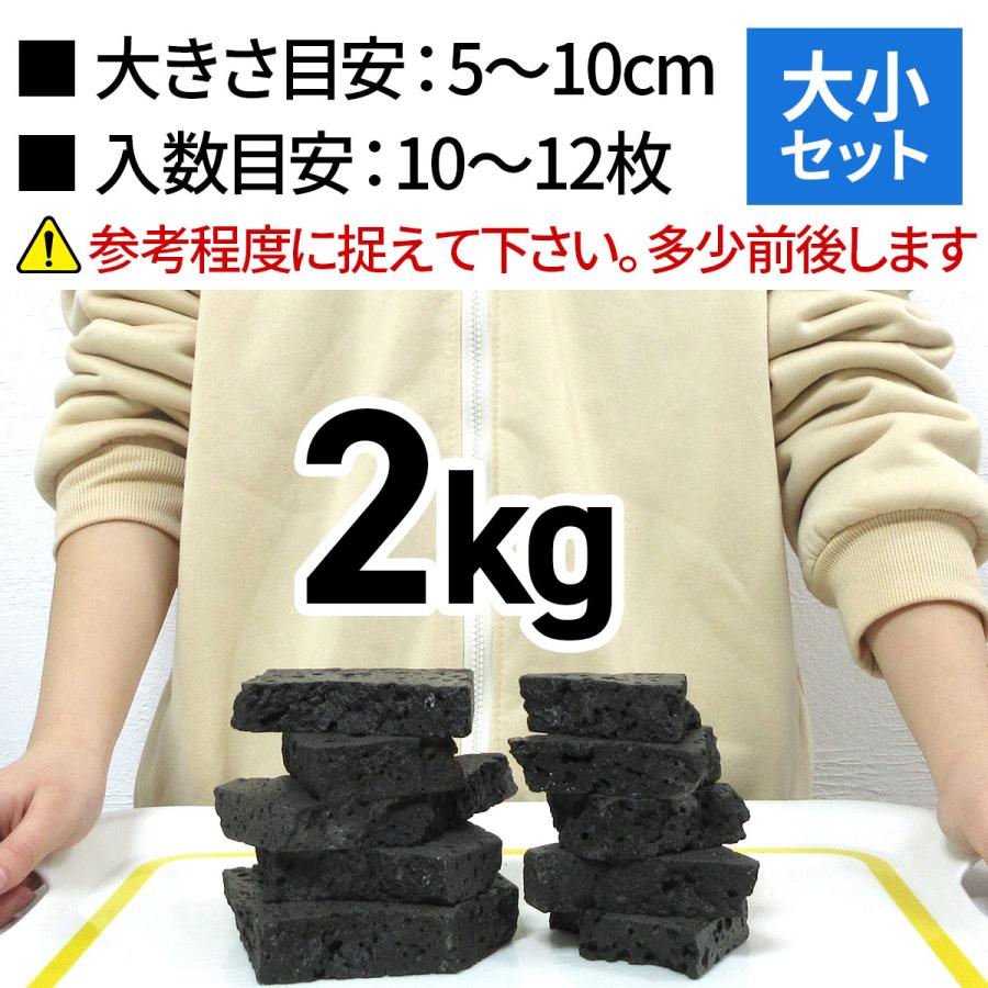 水槽用天然石 2kg 溶岩石プレート アクアリウム 石 レイアウト