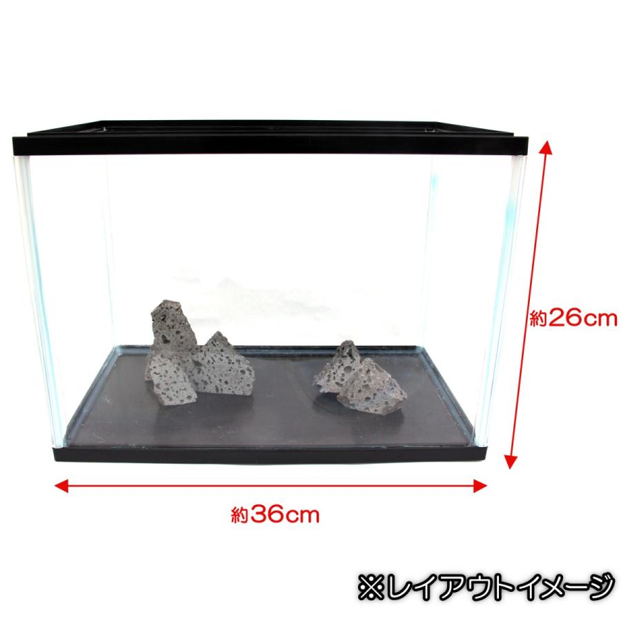 水槽用天然石 2kg 溶岩石プレート アクアリウム 石 レイアウト