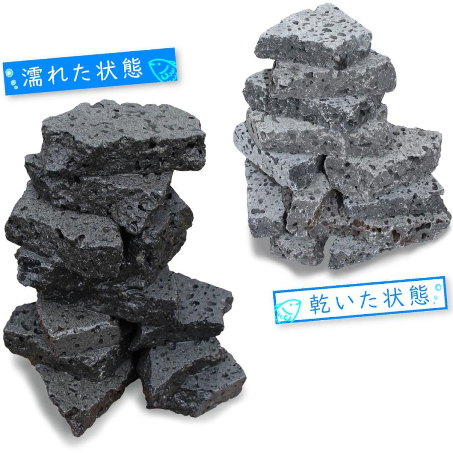 水槽用自然石 約50cm 水槽用天然石 2kg 溶岩石プレート アクアリウム 石 レイアウト