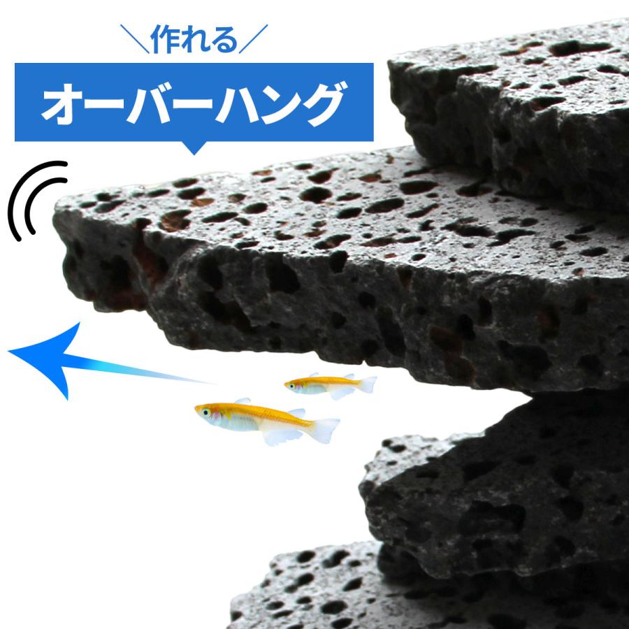 水槽用天然石 2kg 溶岩石プレート アクアリウム 石 レイアウト