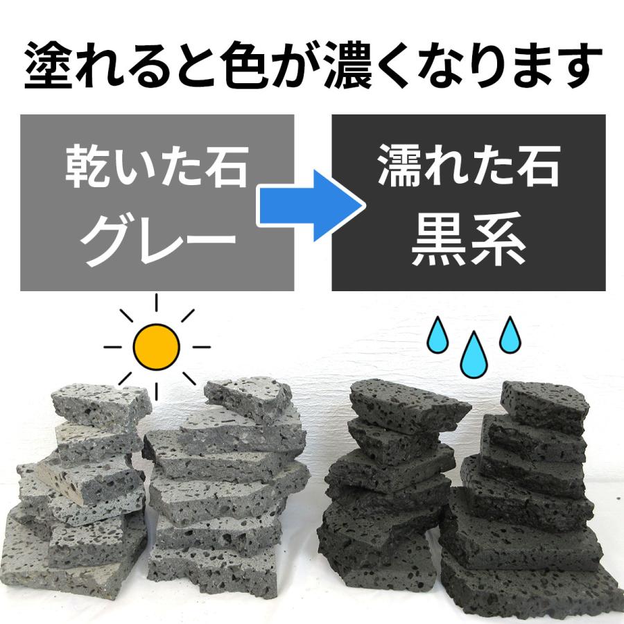 水槽用天然石 2kg 溶岩石プレート アクアリウム 石 レイアウト