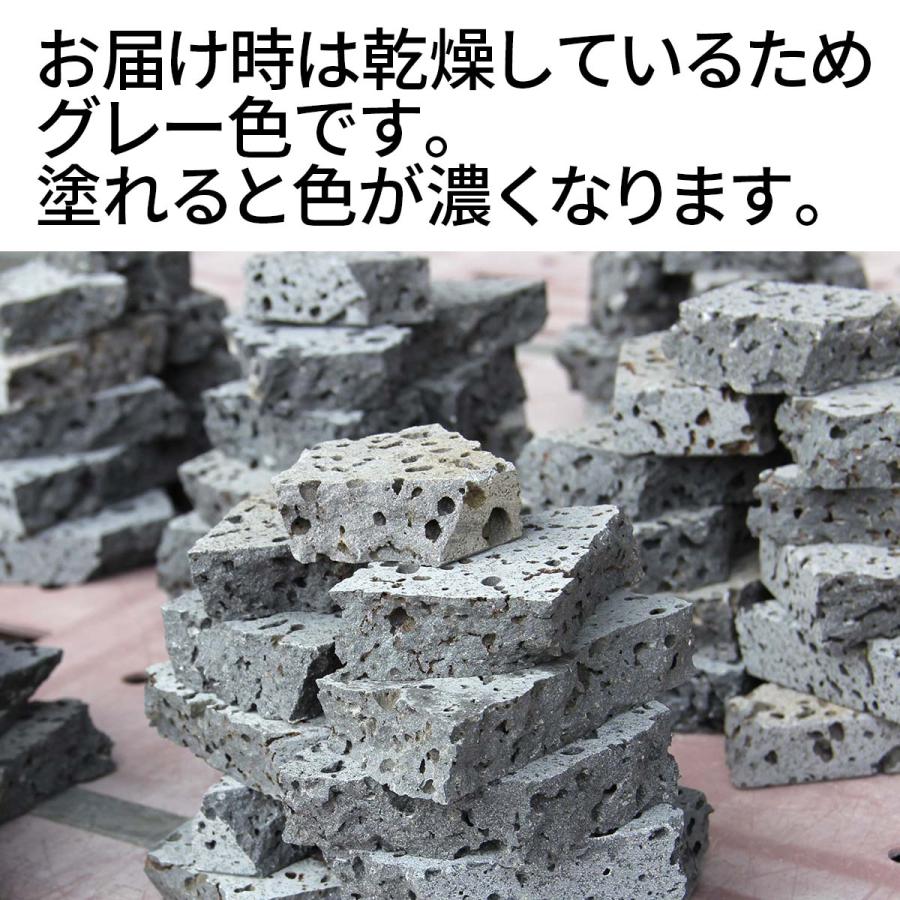 水槽用天然石 3.5kg 溶岩石プレート アクアリウム 石 レイアウト