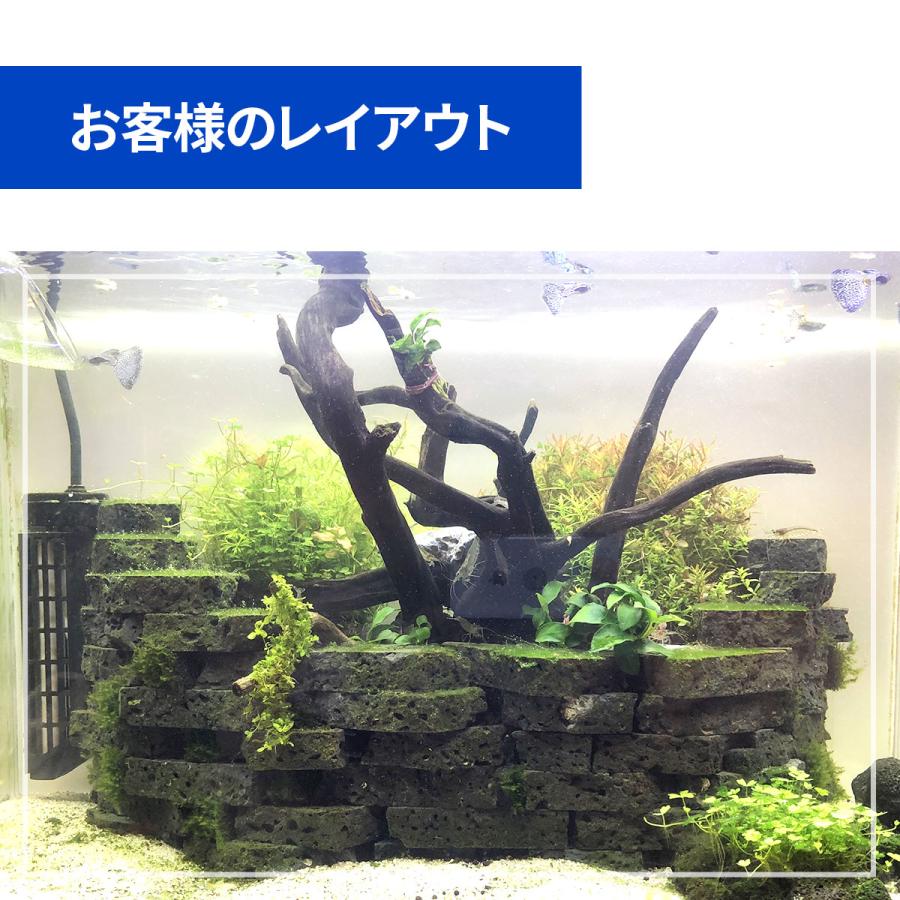 水槽用天然石 3.5kg 溶岩石プレート アクアリウム 石 レイアウト