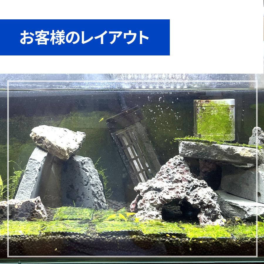 水槽用天然石 3.5kg 溶岩石プレート アクアリウム 石 レイアウト