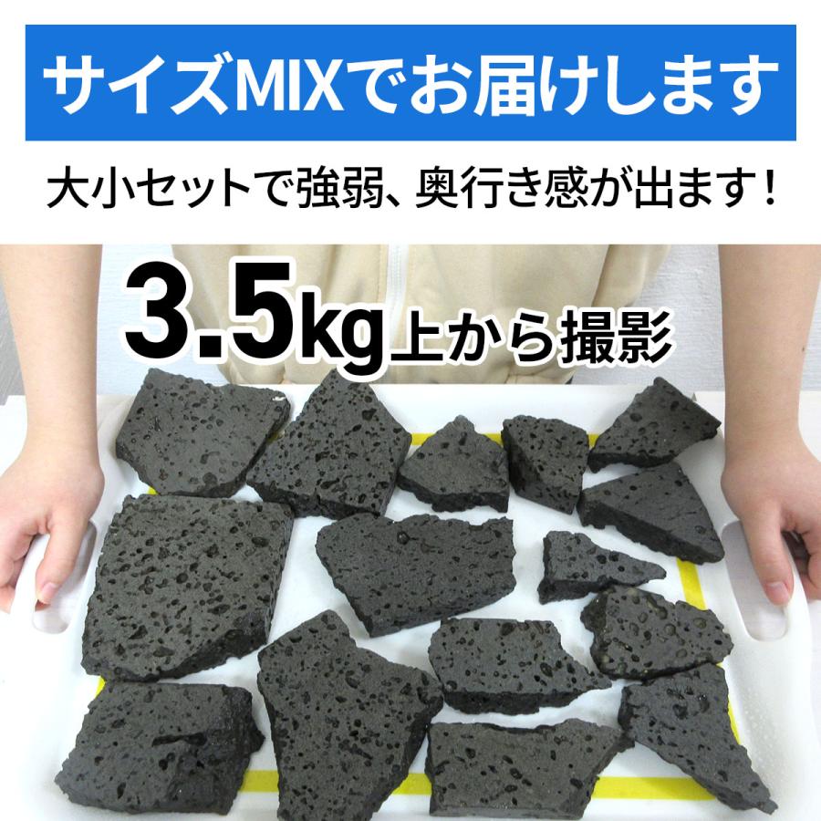 水槽用天然石 3.5kg 溶岩石プレート アクアリウム 石 レイアウト