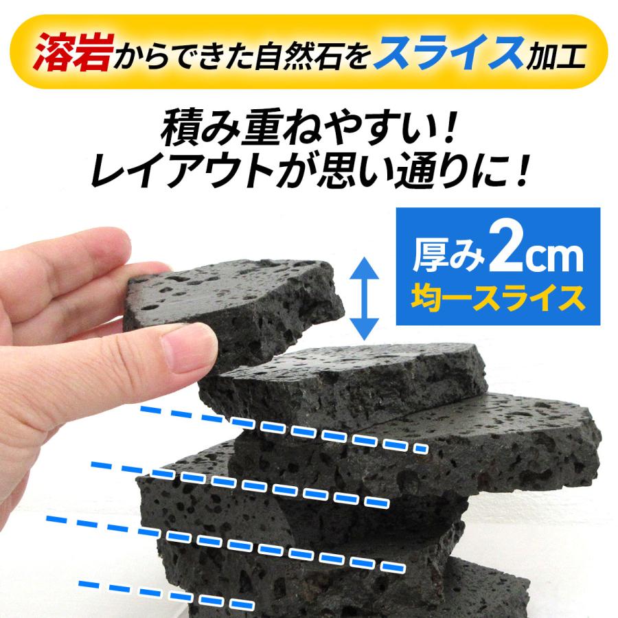 水槽用天然石 3.5kg 溶岩石プレート アクアリウム 石 レイアウト