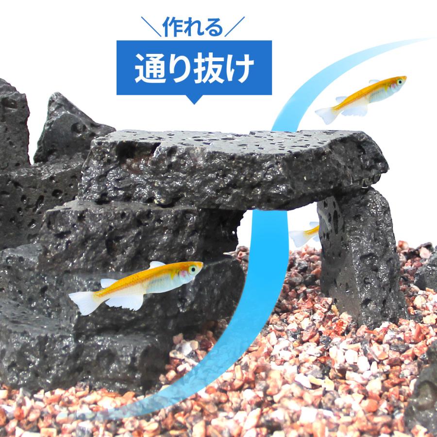水槽用天然石 3.5kg 溶岩石プレート アクアリウム 石 レイアウト